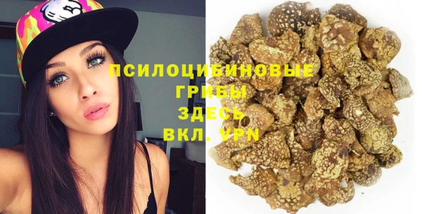 молекула духа Красноперекопск