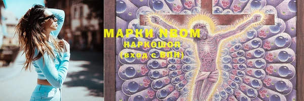 прущие грибы Краснослободск