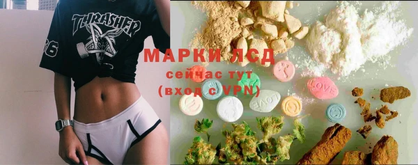 стафф Кулебаки