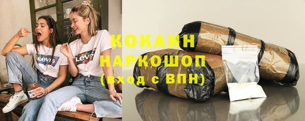 прущие грибы Краснослободск