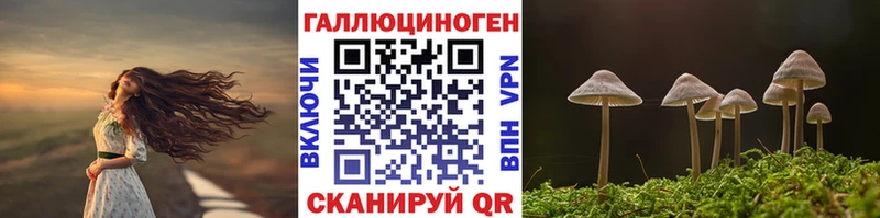 Псилоцибиновые грибы Cubensis  наркотики  Рыльск 